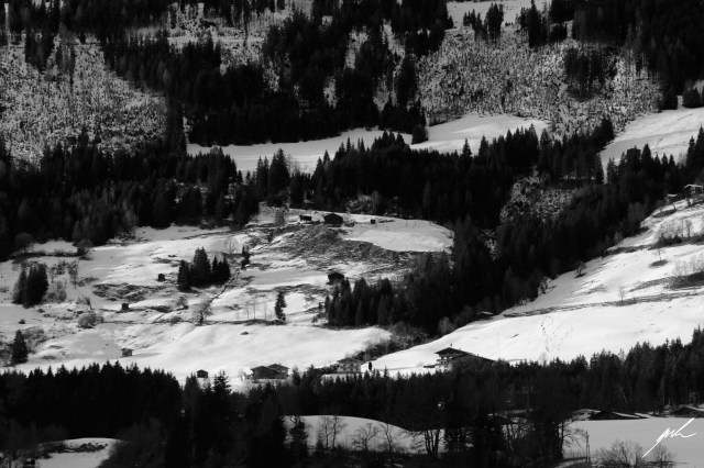 black and white, nature, cold, winter, snow, trees black and white, nature, cold, winter, snow, trees