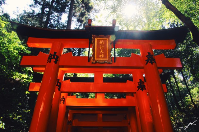 Processed with VSCO with c2 preset