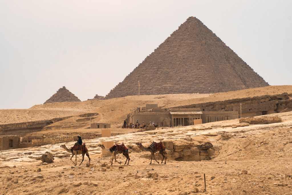 Camels on rocky desert ground below a pyramid and nearby ancient structures.
