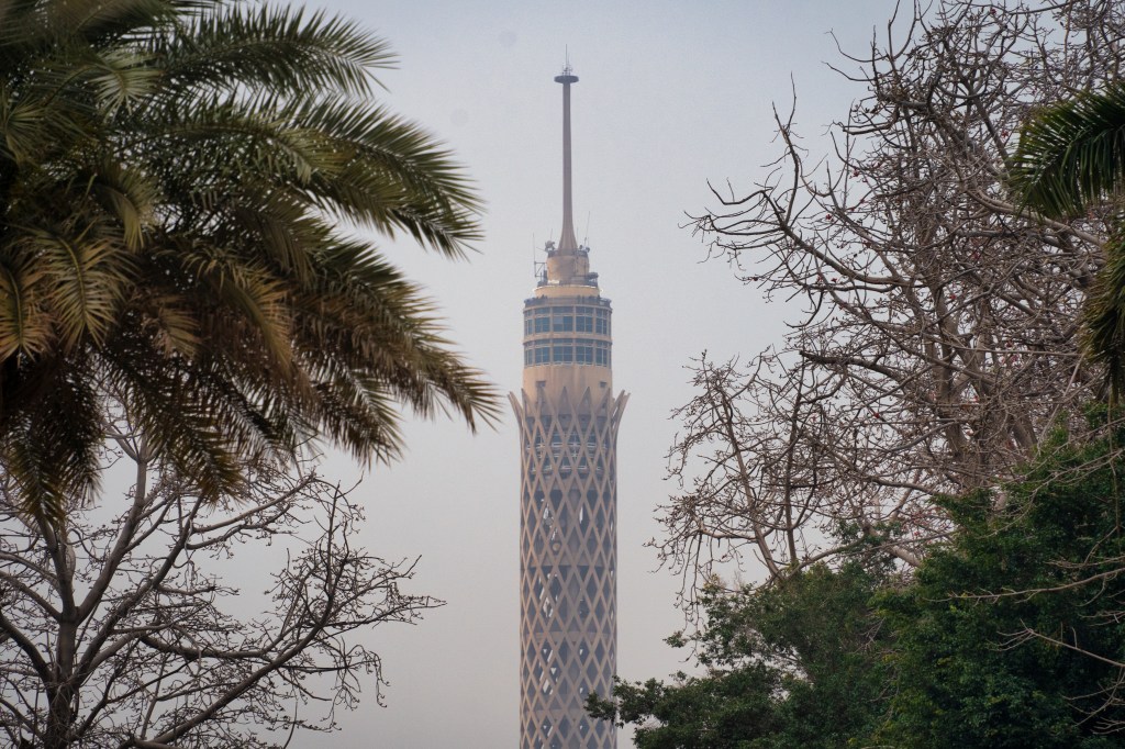 Cairo Tower seen between palm fronds and bare branches.