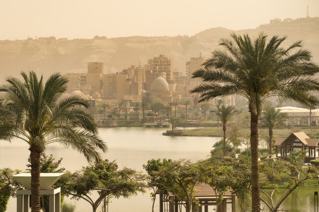 A park pond framed by palms, with mosque domes and Cairo’s rocky hills beyond.