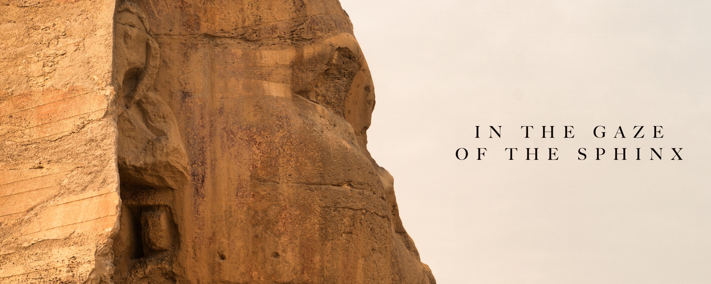 Profile of the Sphinx with the title In the Gaze of the Sphinx.