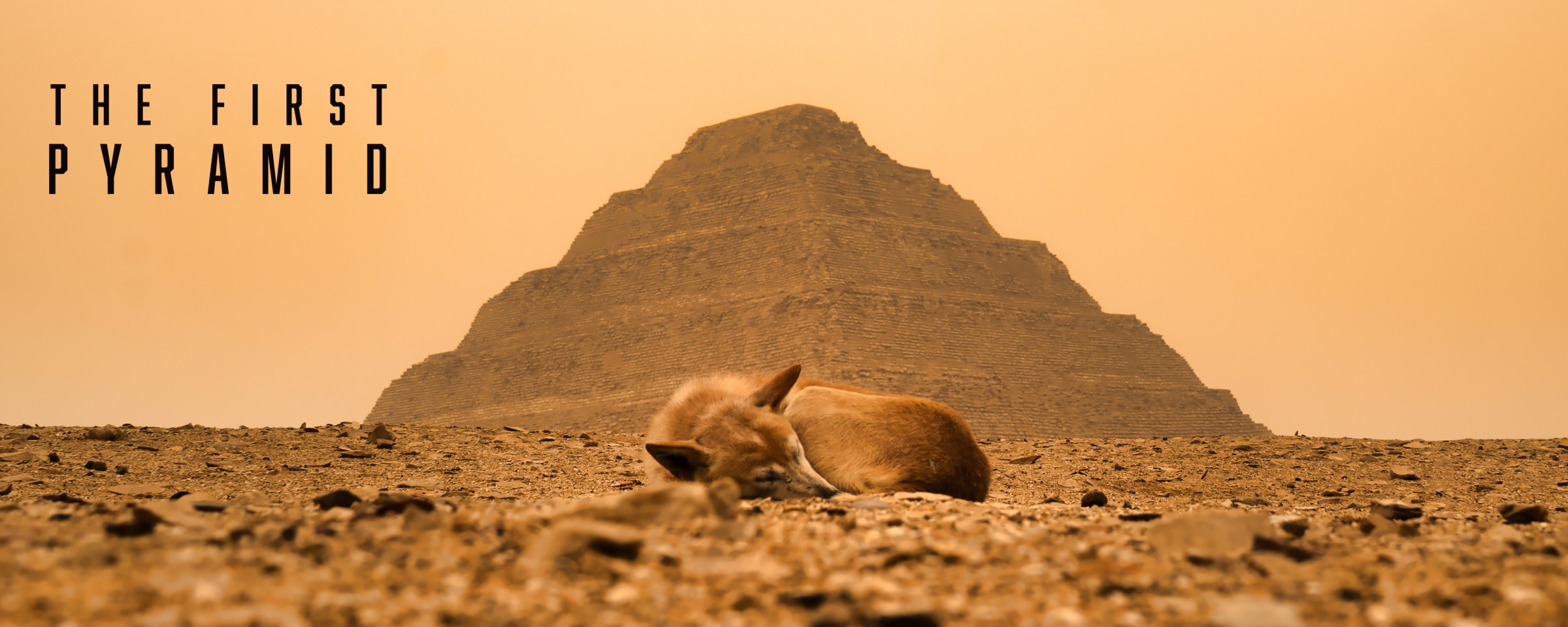 The First Pyramid title above a resting dog with the Step Pyramid in the distance.